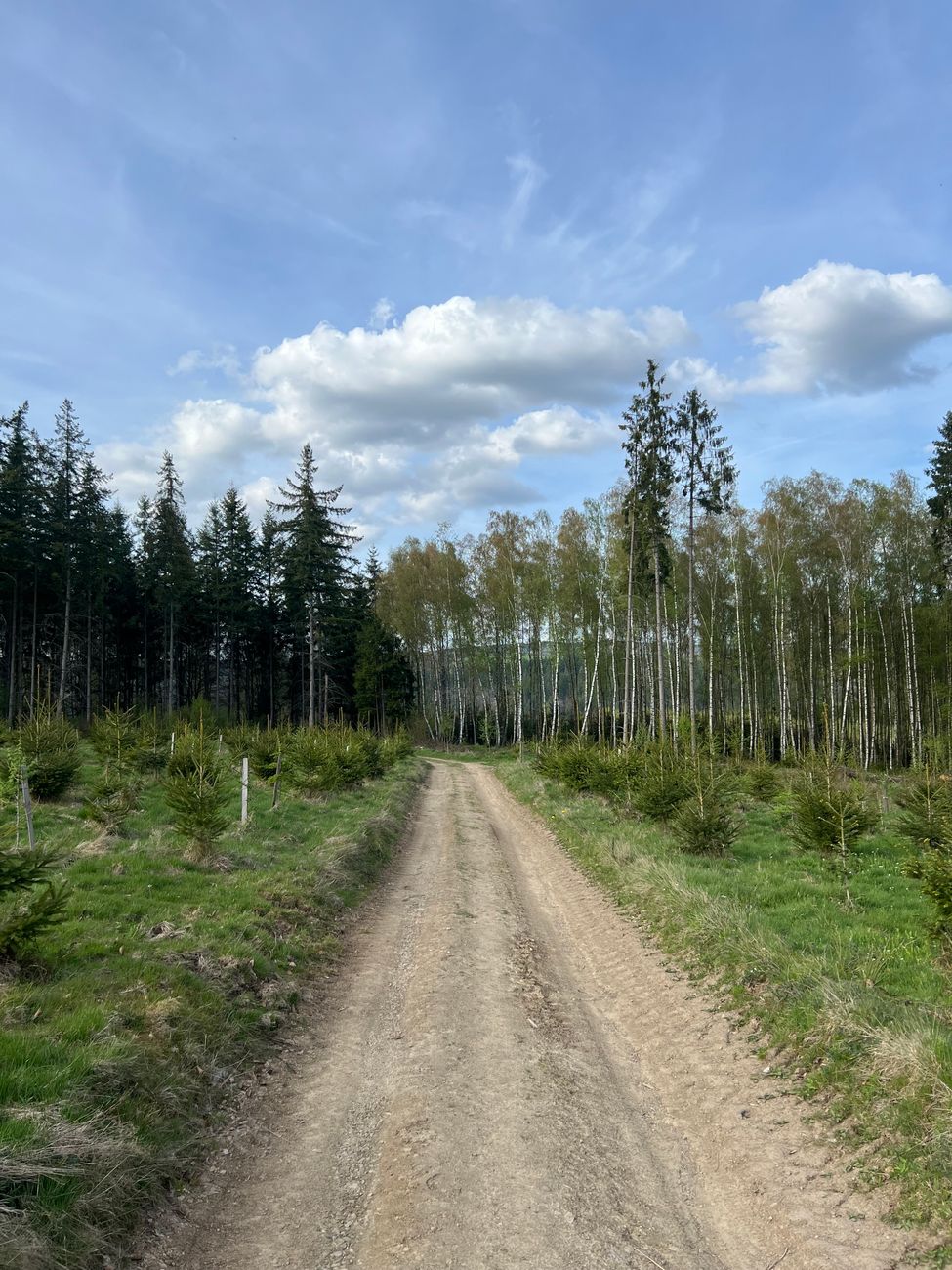 Ardennen natuur wandelpad